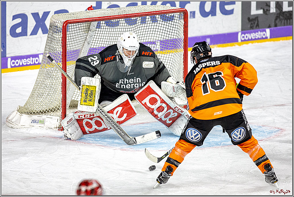 DEL; Koelner Haie - Grizzlys Wolfsburg, 26.12.2018